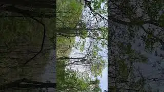 nature's beauty through a series of stunning scenes, from lush forests&nbsp; #interstellar #nature