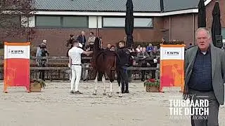 Olympus HVM (Icellie x Colonist), Uitslag & Toelichting VO, 29-10-2022