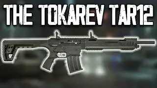 Tokarev TAR 12MP Nickel Finish: тест полуавтоматического ружья AR-Style на полной дальности