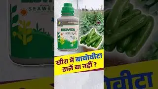 बायोवीटा खाद | Biovita Fertilizer | #seaweed #agriculture #cucumber #farming #biovita #farmer
