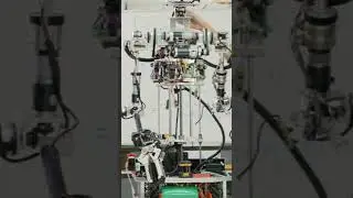 Death Calculator  #shorts #syouareawin #viral  #ai