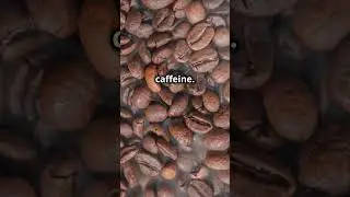 Light vs Medium vs Dark Roast: Coffee Showdown!