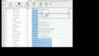 Recoding Workaround for JASP