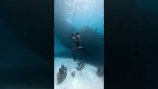 Send this to your diving partner  #deepocean #freedivingadventures #marinelifelove #deepbluecoast