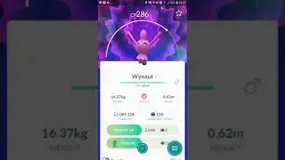 Egg Hatch Wynaut Shiny