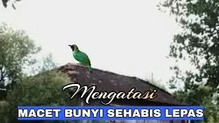 Mengatasi Macet Bunyi Sehabis Lepas