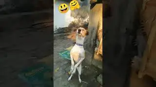 #music #trending #viral #viralsong #love #funny #new #baby #dog #anime #cute #vlog #shortsviral #flo