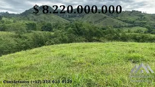 Finca Ganadera - Marsella, Risaralda