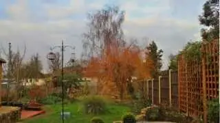 550d Magic Lantern Timelapse
