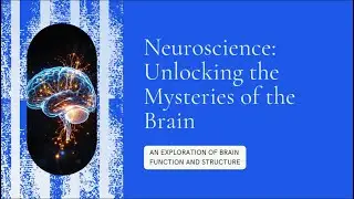 NEUROSCIENCE-NOOR AMEENA
