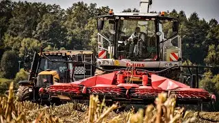 SILAŽA 2021 - Kmetija Pirnat | CLAAS JAGUAR & JCB