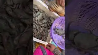 Crab at Thane fish market