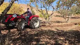 Antonio carraro tc5800 f major