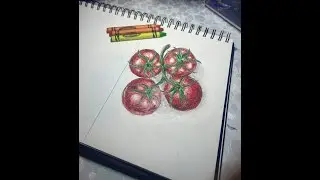 🍅How to Draw & Paint a Simple Tomato using Crayons (Step-by-Step)