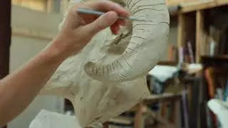 Modeling the Big Horn Sheep