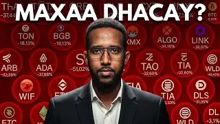 News kii Crypto ugu danbeeyey & Baqdin Weyn oo Timid