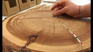 EL SONIDO DE LOS ANILLOS DE LOS ÁRBOLES | LA DENDROCROLOLOGÍA. IMPRESIONANTE