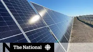 First look at Canada&rsquo;s largest solar farm