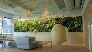 New Earth Solutions | Living Wall Highlight Reel