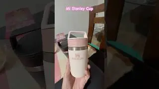 Choose Stanley Tumbler #shortsfeed #speedsong #music #stanleycup