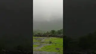 Bold seen#viral#short video