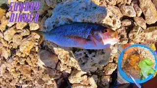 SpearFishing For Sunday Dinner | Fishing Trip🇯🇲
