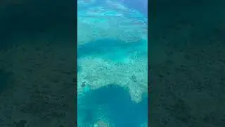 7 imperdibles en Cairns, Australia ✅