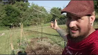 Постройте арочную решетку без панелей для скота