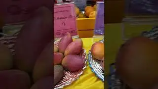Mango Exhibition l Centaurus Mall l Islamabad l Pakistan