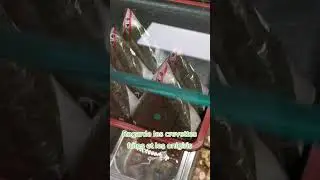 ou sortir &agrave; Paris