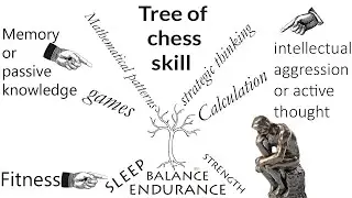 The Road back to 2500, ep. 27; toward a tree of chess skill