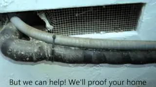 Rodent Removal in Pleasanton - Got Rats Rodent Proofing