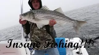 Striper Fishing 2018 | NJ Fishing