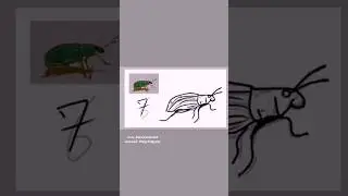 Drawing Green Immigrant Leaf Weevil #02 #drawing #วาดรูป #art #ฝึกวาดรูป #วาดเเมลง