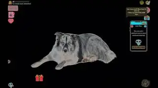 Real Pets By Fruwee Gift For Bird The Dog For Pround You Want To Snack in G-Major 4