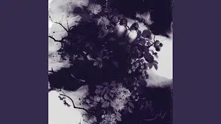 Tears4you