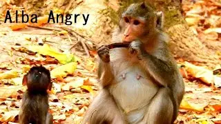 Alba Angry Bad Mom Anna Not Share Food, Alba Crying Back Face out