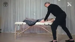 Integral Body Institute & Habys