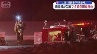 養豚場が全焼 ブタ約400頭死ぬ　山形・酒田市「平田牧場」【スーパーJチャンネル】(2025年12月14日)