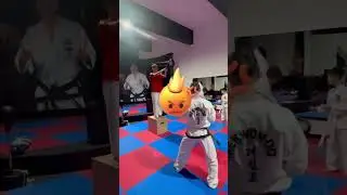 Taekwon-do ITF - ACS Red Tigers Călan