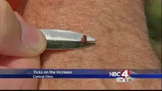 Ticks on the increase