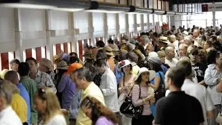 2016 Preakness: Expert Horse Betting Advice