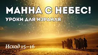 Как манна небесная воспитывала Израиль? Исход 15–16 | Хронологическое чтение Библии, День 36