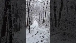 Join me on the train run #nature #outdoors #running #run #to #freedom #peace #joy #calm #winter #va