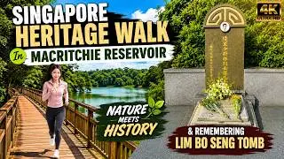 Singapore Heritage Walk In MacRitchie Reservoir & Remembering Lim Bo Seng Tomb Nature Meets History