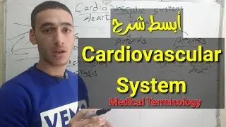 أسهل طريقة شرح ل Cardiovascular system وأهم المصطلحات الطبية الخاصة بيه. Medical Terminology