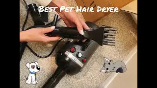 Best Dog Hair Dryer / Pet Grooming / Aiiyme Dog Dryer