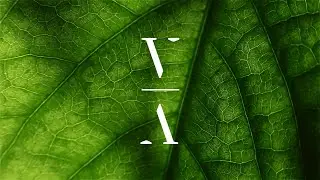 Yara Yard - Surrender