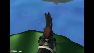 How to Get the Star in the Lake-Pond-Thingy (Mistfall Lake) in Star Stable Online