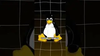 WINDOWS ⎻ ВСЁ?